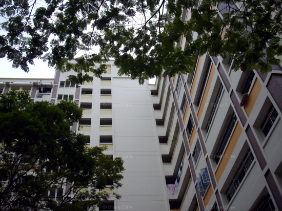 Blk 553 Choa Chu Kang North 6 (Choa Chu Kang), HDB Executive #60412